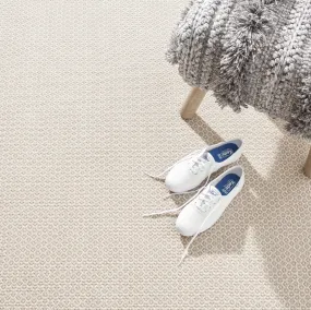 Dash & Albert Finn Platinum Handwoven Indoor/Outdoor Rug